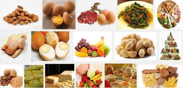 sumber-makanan-yang-mengandung-protein-tinggi